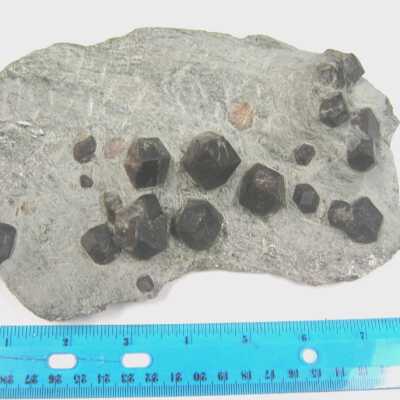 Garnet var Almandine