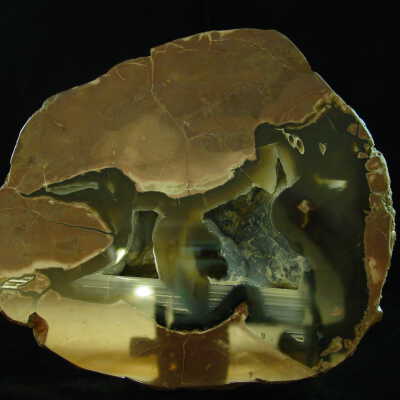 Thunderegg