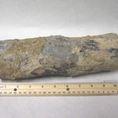 Limb Cast