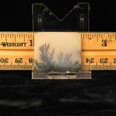 Dendritic Agate