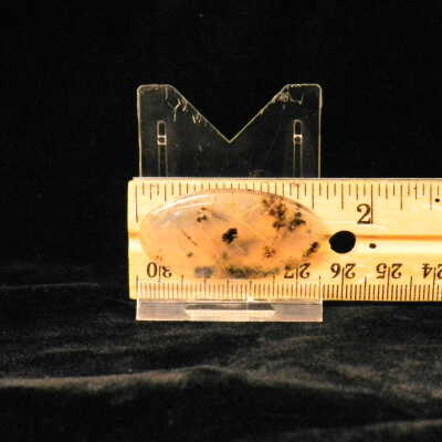 Dendritic Agate