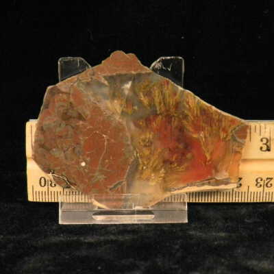 Plume Agate