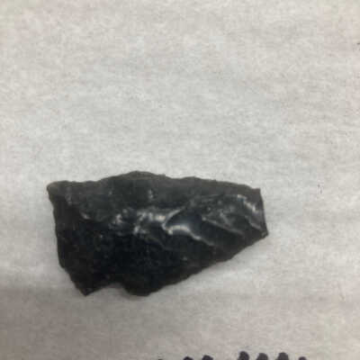 Projectile Point