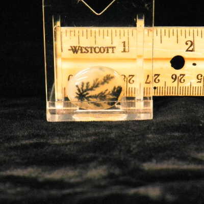 Dendritic Agate