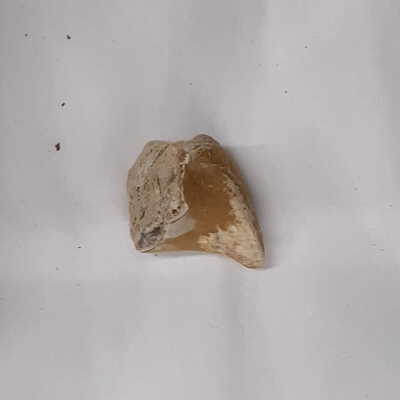 Additional small fragment broken off the main specimen.