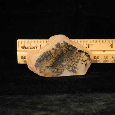 Dendritic Agate
