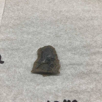 Projectile Point Fragment Distal