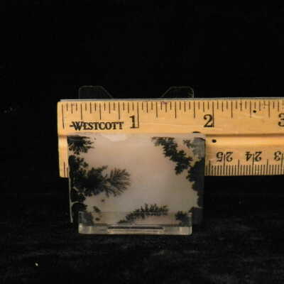 Dendritic Agate