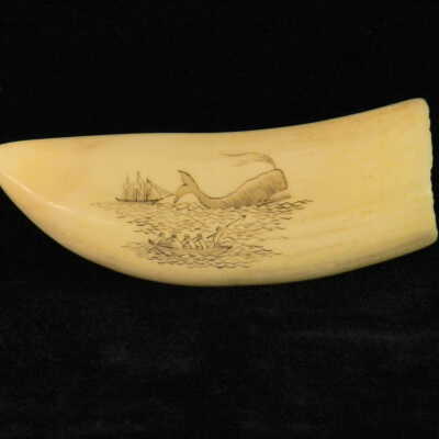 Scrimshaw