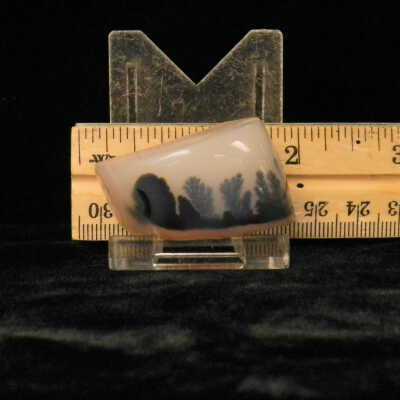 Dendritic Agate