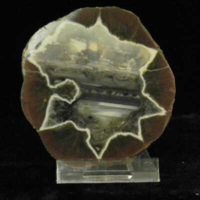 Thunderegg