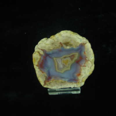 Thunderegg