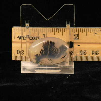 Dendritic Agate
