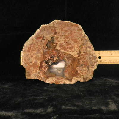 Plume Agate