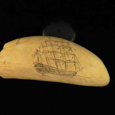 Scrimshaw