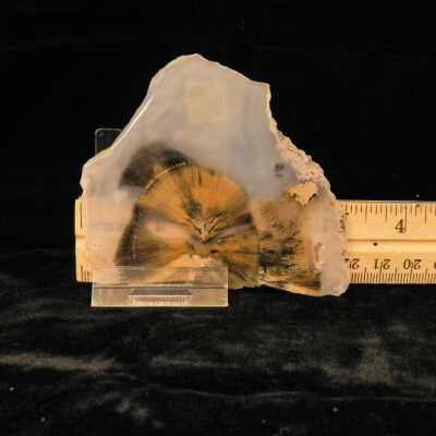 Quartz var. Agate (sagenite)