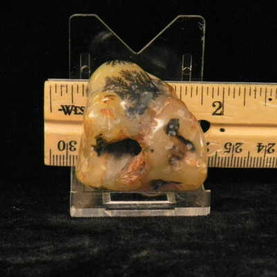 Dendritic Agate