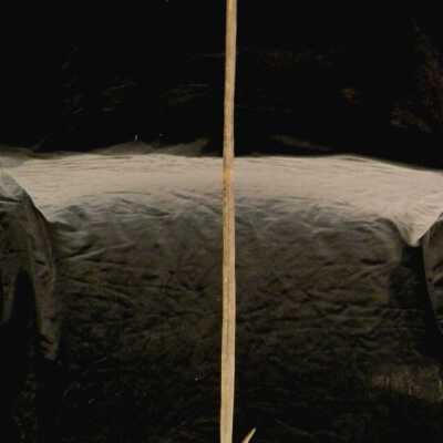 Harpoon