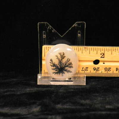 Dendritic Agate