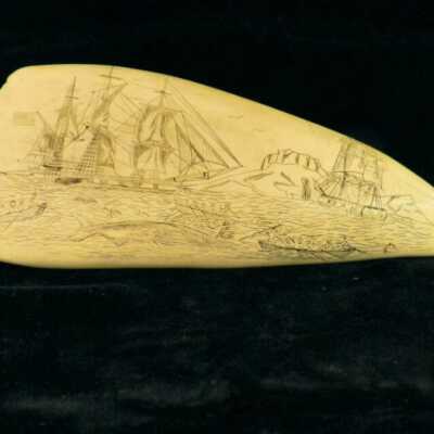 Scrimshaw