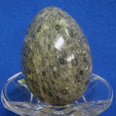 Nummulite Stone Egg