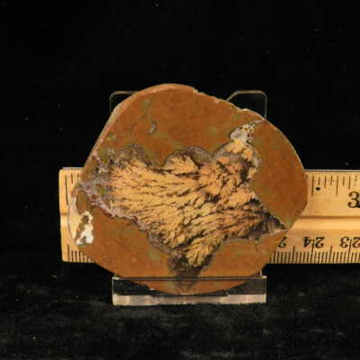 Plume Agate