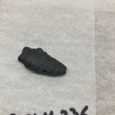 Projectile Point