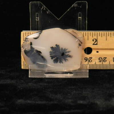 Dendritic Agate