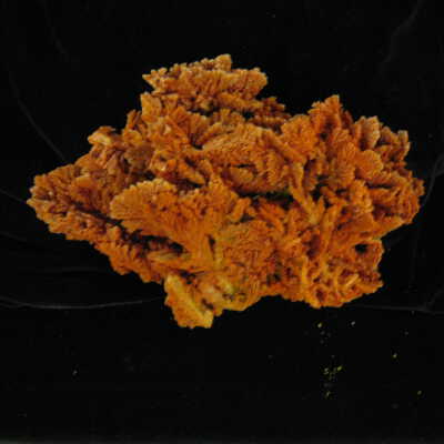 Barite with Cinnabar