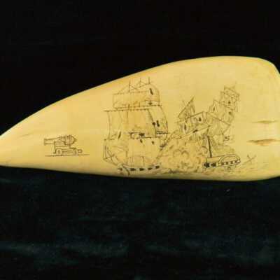 Scrimshaw