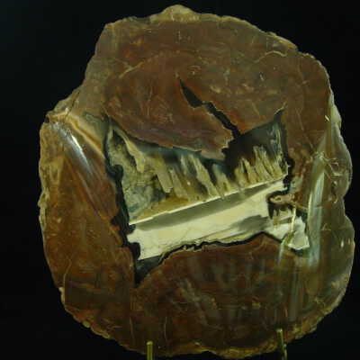 Thunderegg