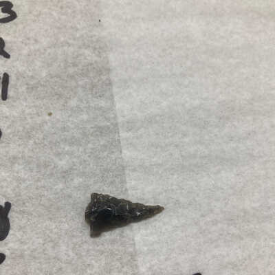 Projectile Point