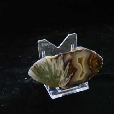Sagenite in Agate