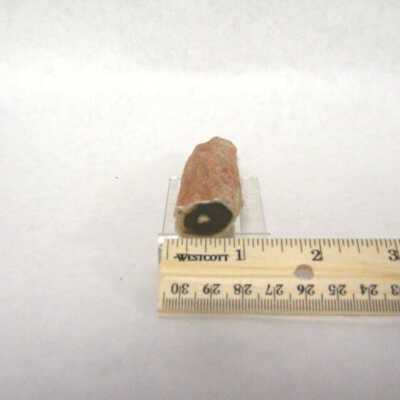 Limb Cast
