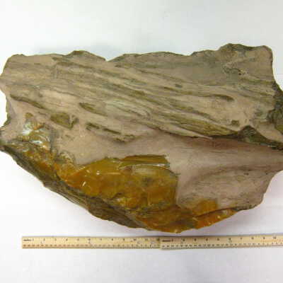 Limb Cast