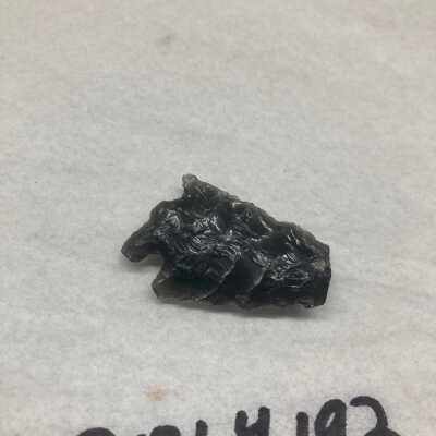 Projectile Point