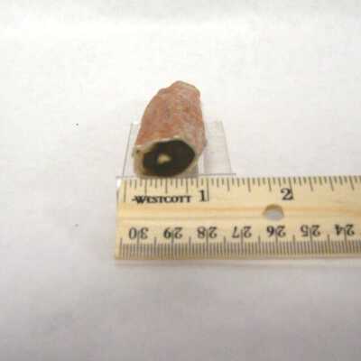 Limb Cast