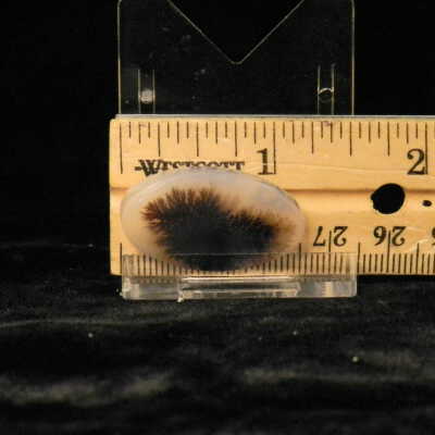 Dendritic Agate