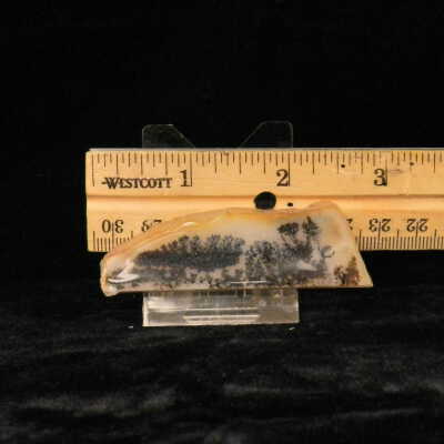 Dendritic Agate