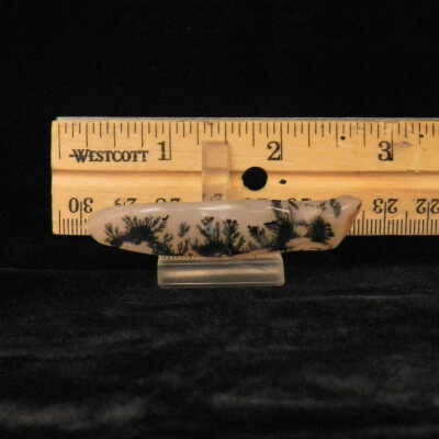 Dendritic Agate