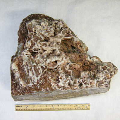 Limb Cast