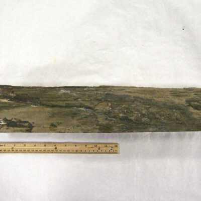 Limb Cast