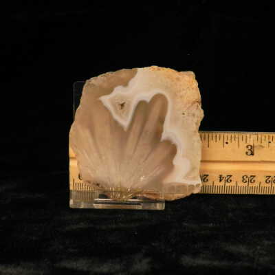 Quartz var. Agate (sagenite)