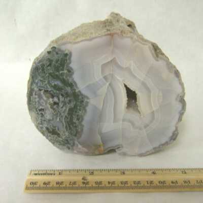 Limb Cast