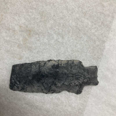Projectile Point