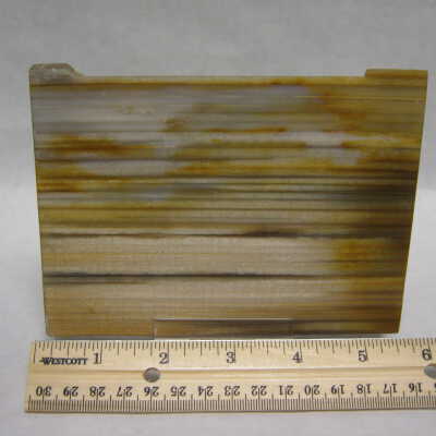 Conifer "Quarter Cut"