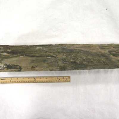 Limb Cast