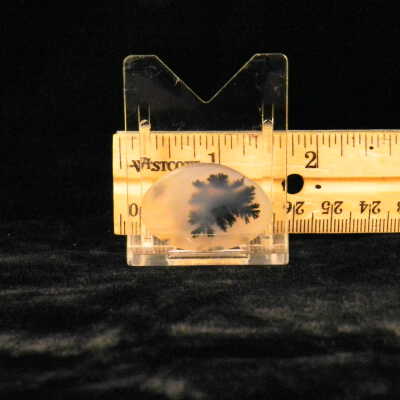 Dendritic Agate