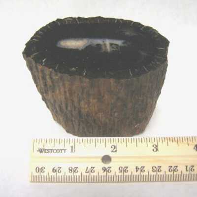Limb Cast