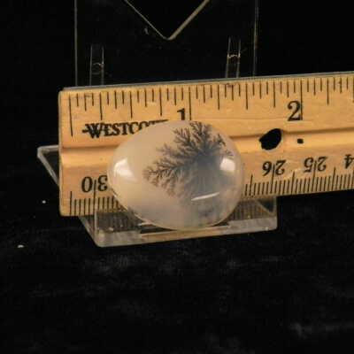 Dendritic Agate